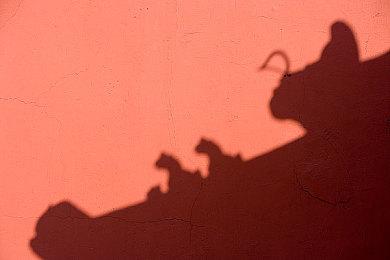 《王牌钓手 欢钓水族馆》推出体验版 10月27日登陆NS